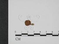 登錄號:F0014198藏品圖，第1張