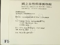 登錄號:F0014199藏品圖，第2張