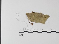 登錄號:F0014199藏品圖，第3張