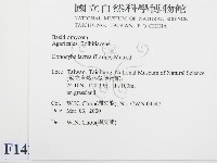 登錄號:F0014202藏品圖，第2張