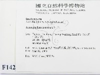 裂褶菌藏品圖，第2張