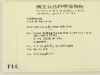 登錄號:F0014209藏品圖，第2張