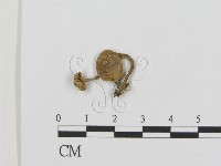 登錄號:F0014209藏品圖，第1張