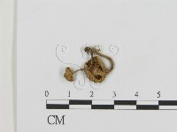 登錄號:F0014209藏品圖，第3張