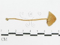 登錄號:F0014210藏品圖，第1張