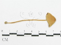 登錄號:F0014210藏品圖，第3張