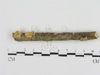 登錄號:F0014211藏品圖，第1張