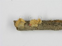 登錄號:F0014211藏品圖，第3張