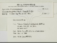 登錄號:F0014212藏品圖，第2張