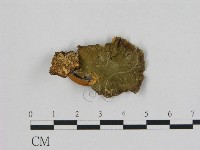 登錄號:F0014212藏品圖，第1張