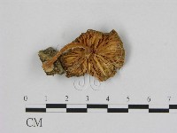 登錄號:F0014212藏品圖，第3張