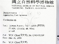 登錄號:F0014213藏品圖，第2張