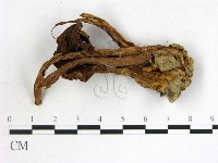 登錄號:F0014213藏品圖，第1張