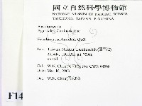 登錄號:F0014214藏品圖，第2張