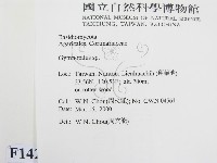 登錄號:F0014215藏品圖，第2張