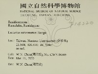 登錄號:F0014220藏品圖，第2張