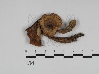 登錄號:F0014220藏品圖，第1張