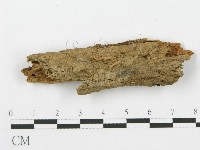 登錄號:F0014222藏品圖，第3張