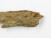 登錄號:F0014222藏品圖，第4張