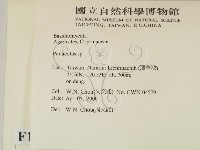 登錄號:F0014232藏品圖，第2張