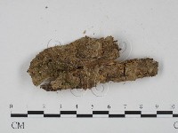 登錄號:F0014233藏品圖，第1張