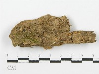 登錄號:F0014233藏品圖，第3張