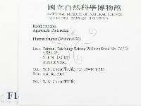 登錄號:F0014235藏品圖，第2張