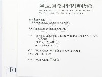 裂褶菌藏品圖，第2張