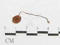 登錄號:F0014237藏品圖，第3張