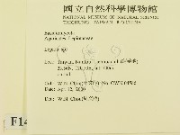 登錄號:F0014238藏品圖，第2張