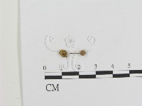 登錄號:F0014238藏品圖，第3張