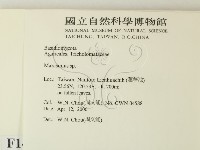 小皮傘屬藏品圖，第2張