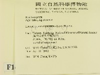 登錄號:F0014245藏品圖，第2張