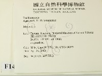 小菇屬藏品圖，第2張