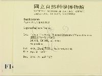 登錄號:F0014248藏品圖，第2張