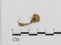 登錄號:F0014248藏品圖，第1張