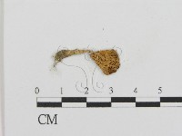 登錄號:F0014248藏品圖，第3張