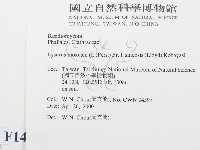 登錄號:F0014249藏品圖，第2張