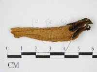 登錄號:F0014249藏品圖，第1張