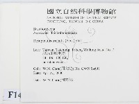 登錄號:F0014253藏品圖，第2張