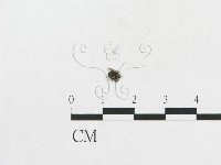 登錄號:F0014253藏品圖，第1張