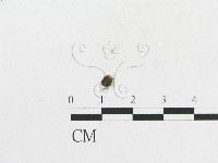 登錄號:F0014253藏品圖，第3張