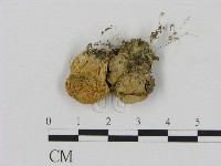 登錄號:F0014254藏品圖，第1張
