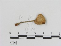登錄號:F0014255藏品圖，第1張