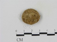 登錄號:F0014257藏品圖，第1張