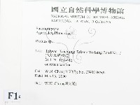 登錄號:F0014258藏品圖，第2張