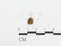 登錄號:F0014258藏品圖，第1張