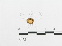 登錄號:F0014258藏品圖，第3張