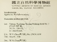 登錄號:F0014260藏品圖，第2張