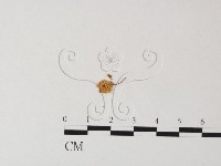 登錄號:F0014260藏品圖，第3張